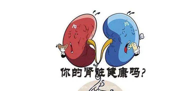 患者|专家提醒 | 47岁女士查出尿毒症,警惕肾脏"沉默的杀手"