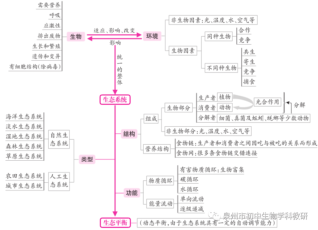 初中生物知识点概念图集