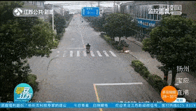 监控|大黄狗撞上电动车“肇事逃逸”，民警反复看监控找到狗主人