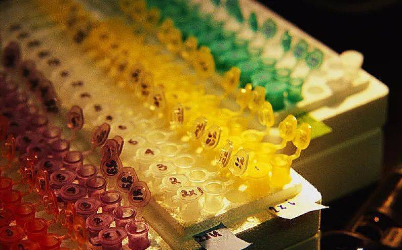 如何正确的认识世界和改造世界 775327bf0eb14e339ef4b6c298784fef.jpeg