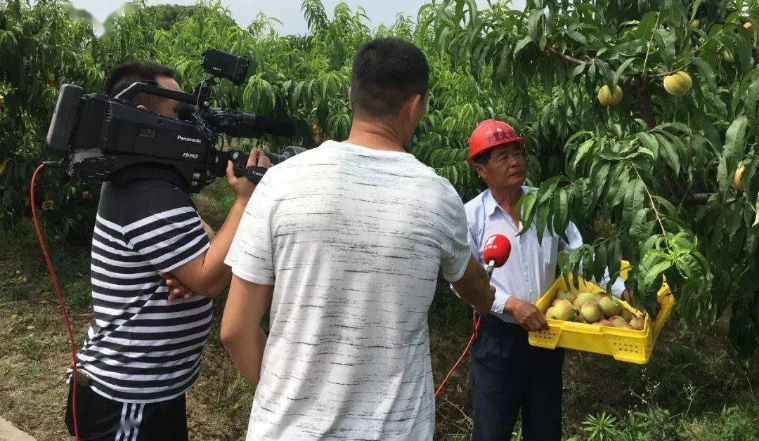 阳山|甜如蜜露，柔软多汁，只卖7天今日福利 | 晚熟的阳山“湖景蜜露”水蜜桃