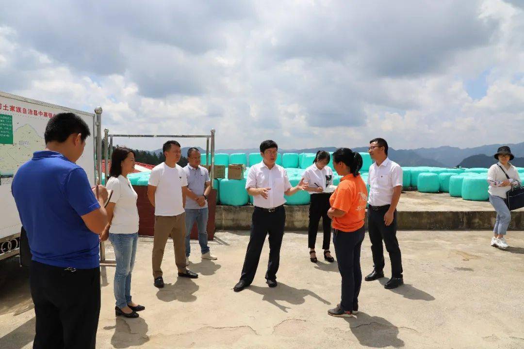 市委组织部副部长何志天一行到中寨镇调研基层组织建设