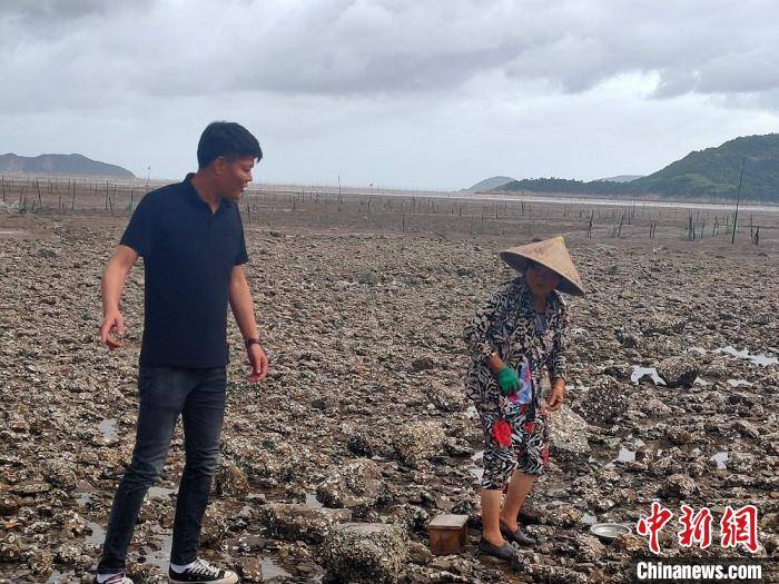 登陆|浙江迎“黑格比”登陆倒计时：渔船归港 作物抢收