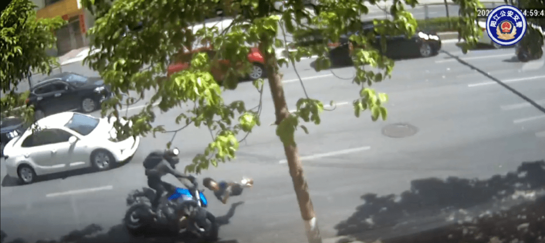 张某鹏|刚放暑假,8岁男童被撞身亡!这个致命动作很多人都做过……