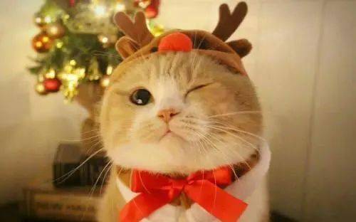 瞩目|你比夏天更闪耀！2020珠江形象大使抢位赛全网瞩目，15强揭晓！