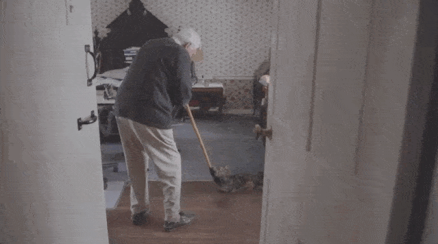 年拍|铲屎官必看!被誉为拍猫教父的他,70年拍猫历史全在这