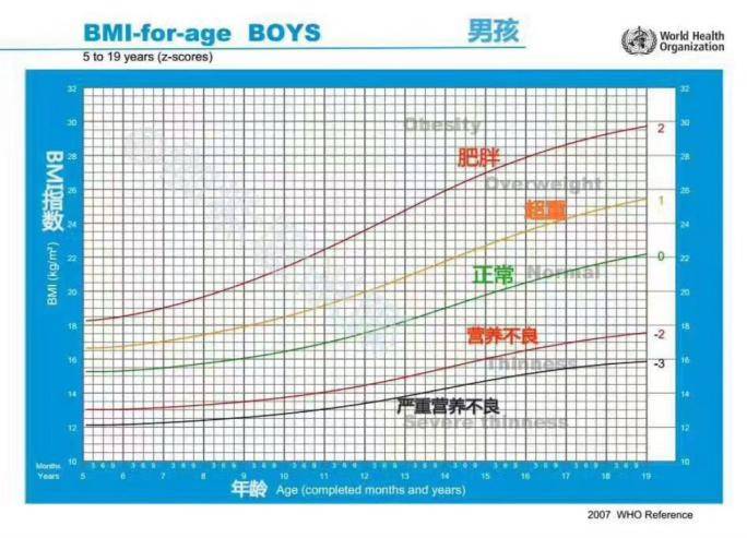 孩子|十岁男童患脂肪肝！你的孩子是否也存在这些问题……