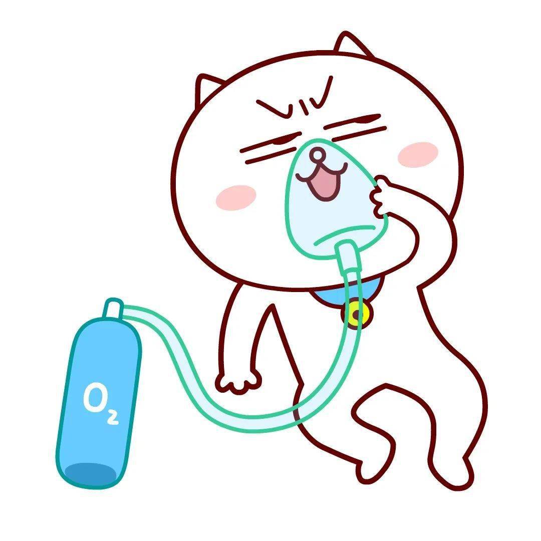 嗷大喵十四季头像