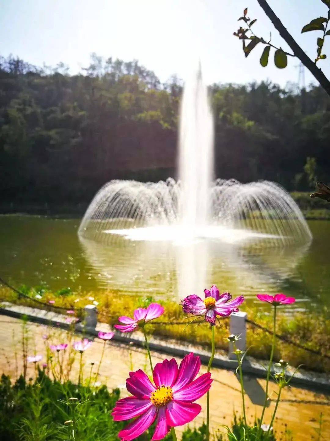 原山|【红色原山】山东原山艰苦创业教育基地｜夏