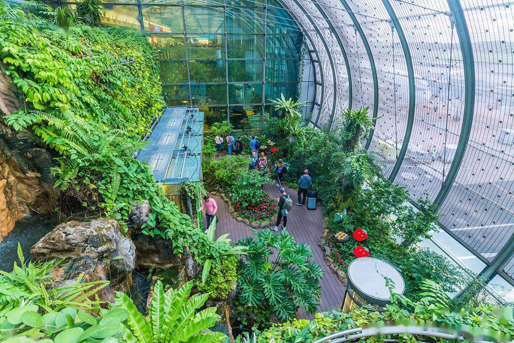 新加坡:星耀樟宜 在花园机场中欣赏全球落差最大室内瀑布
