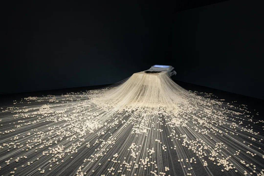 汪晖|现场｜汪晖：艺术与“真正的紧急状态”