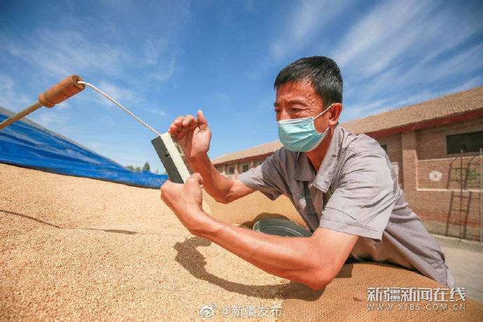 颗粒归仓|颗粒归仓 管护正忙