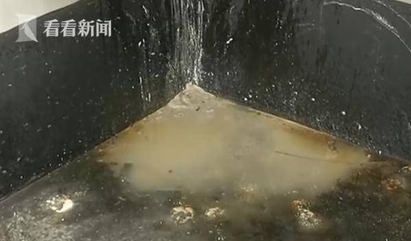 物业|因质量问题延迟5年收房 业主却被催缴13万物业费