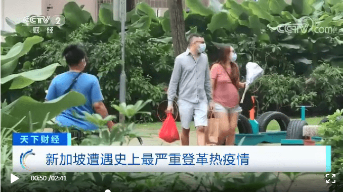 病毒|雪上加霜！新加坡遭遇史上最严重登革热疫情，病毒变异，传播快！感染病例已超2万，死亡19例