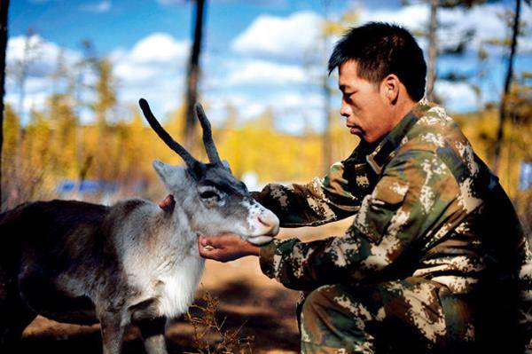 人员|瞭望|三问内蒙古林改新困
