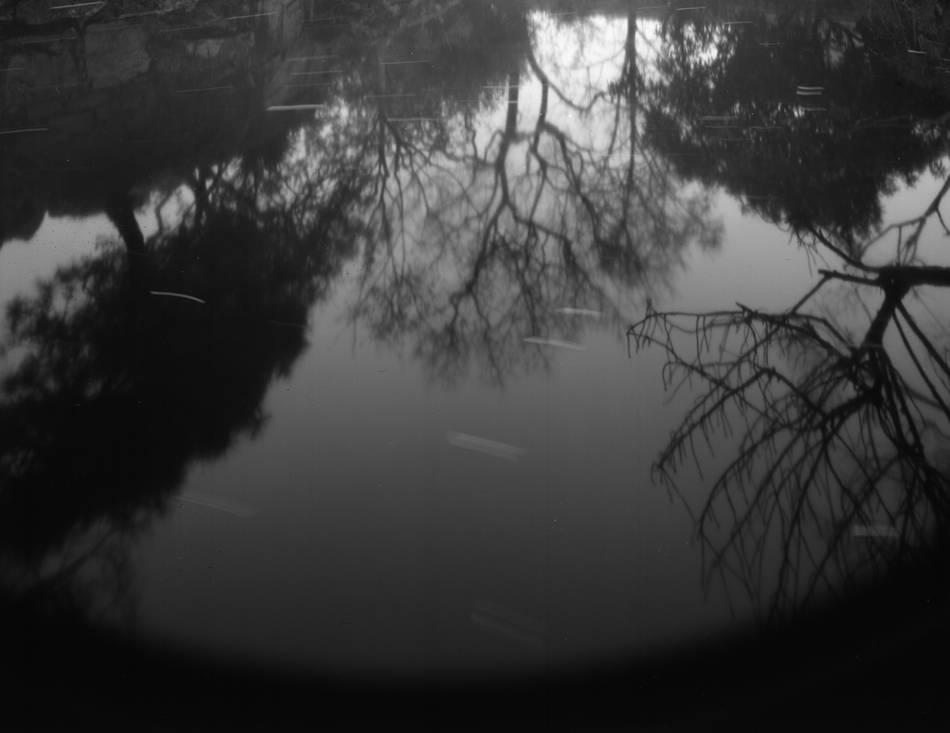 展览|看展览｜“走神”，当代摄影艺术展陈于古老的苏州园林