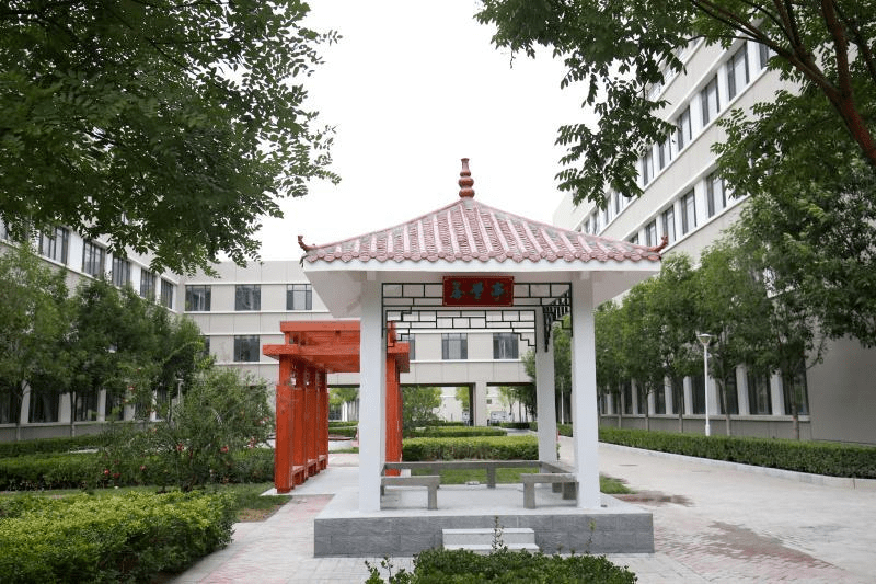 窦冉|学霸分享学习秘籍：高考考出好成绩主要靠这些