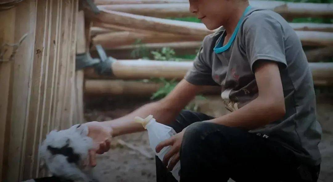 艾萨|她画下了火车，房子，所有不舍的东西，唯独没敢和艾萨告别