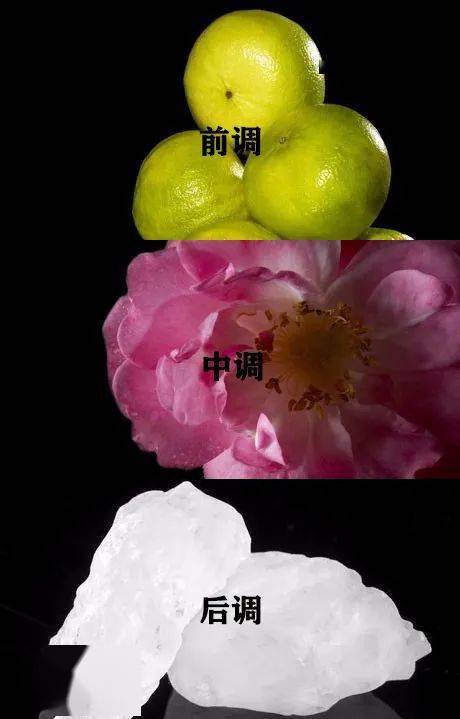 Dior|无法抵挡的女人香丨好物