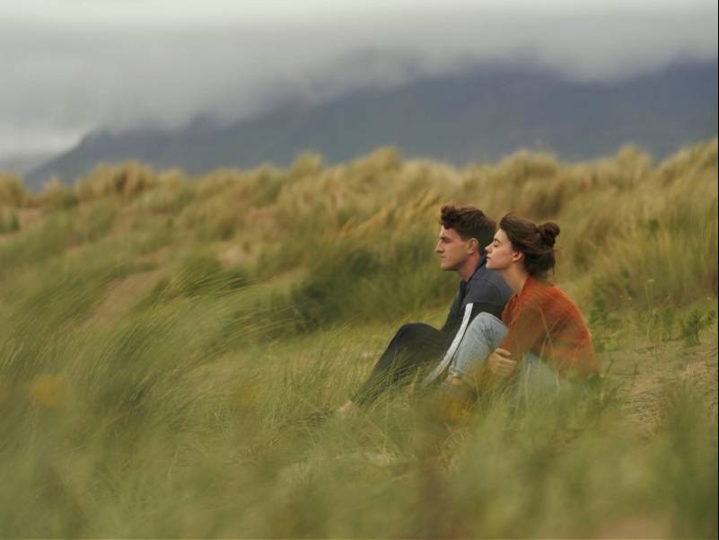 正常人|豆瓣8.7高分剧《正常人》原著小说中文版问世