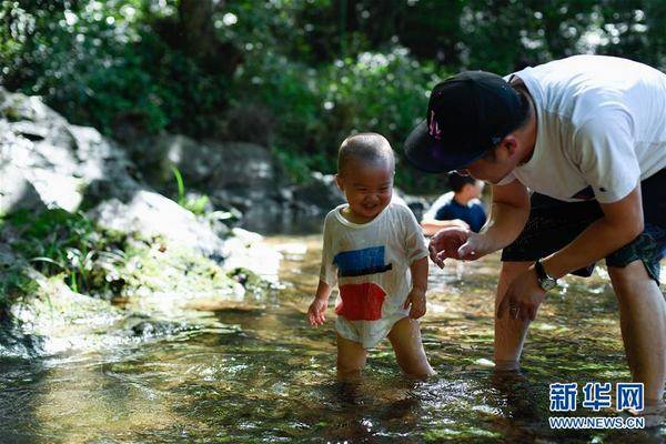 景区|杭州：九溪戏水觅清凉