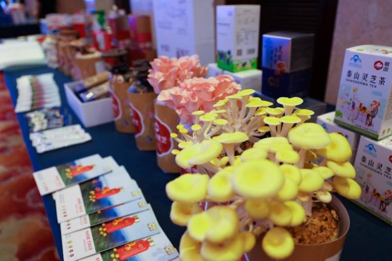 灵芝|广东对口支援西藏林芝，智力援藏产业援藏等四批项目完成签约