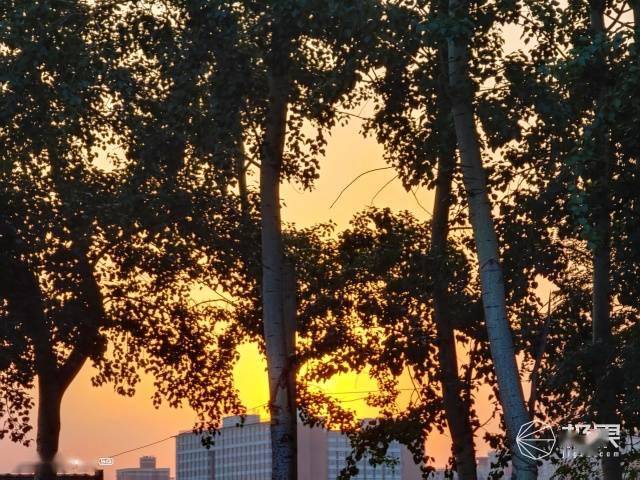 vivo|vivo最强拍照旗舰体验！你与好照片只差一台X50 Pro＋