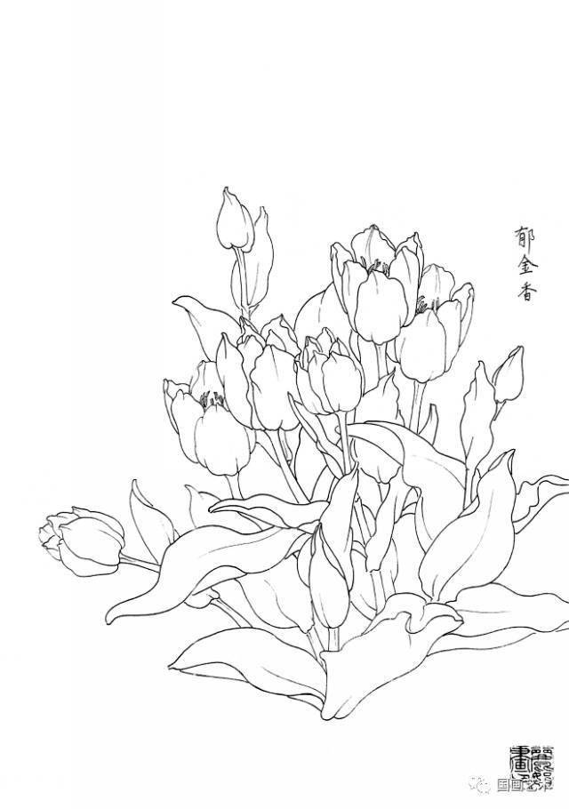 白描花卉写生范本:百花谱