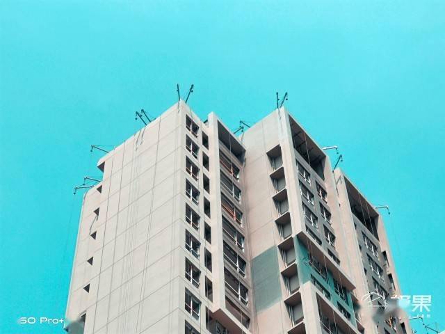 vivo|vivo最强拍照旗舰体验！你与好照片只差一台X50 Pro＋