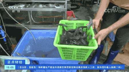 进口|大跌！很多人爱的这道菜，价格“对半砍”！
