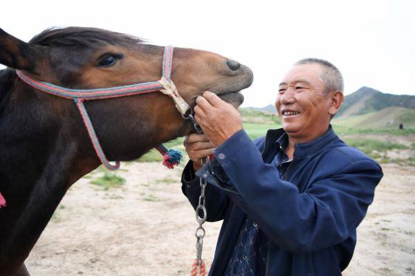 新华社|相马“伯乐”李怀智的好日子