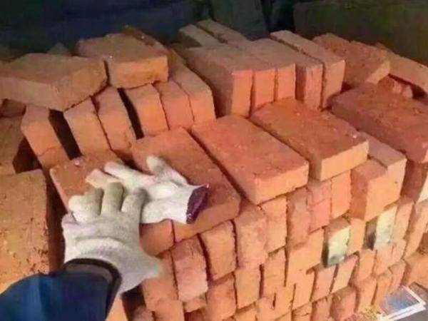 专业|我的专业，真的不是干这个的！