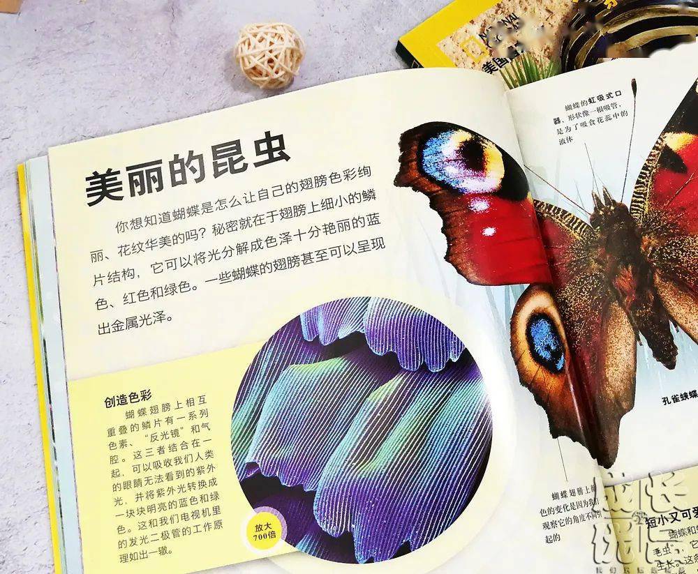 孩子|扔掉电视！一张图说清，7岁以上孩子该读什么书（7岁+）