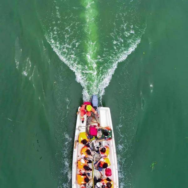 橙色|橙色号的故事丨我们这一天