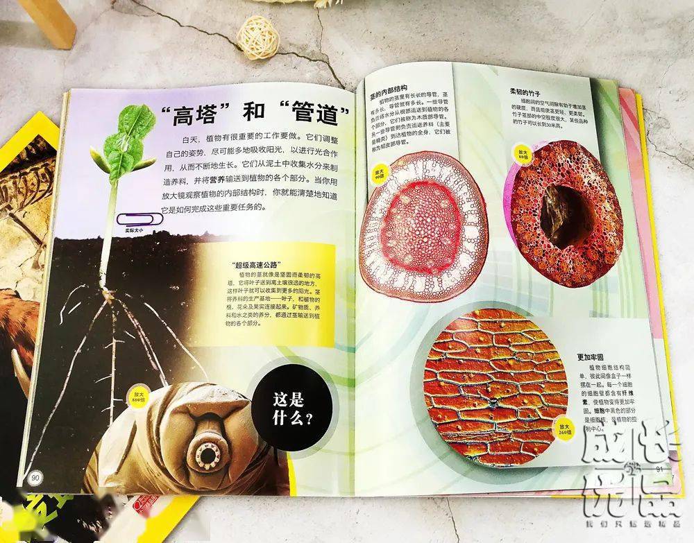 孩子|扔掉电视！一张图说清，7岁以上孩子该读什么书（7岁+）