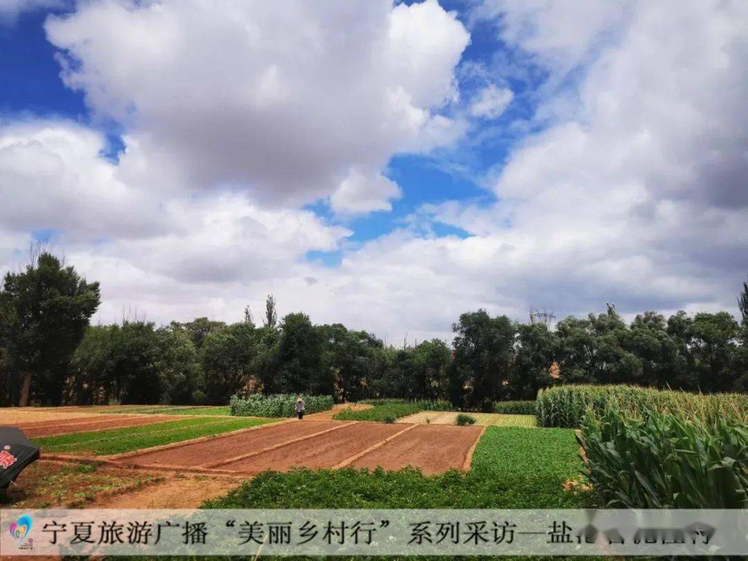 美丽乡村行:盐池县曹泥洼村——书写美丽乡村新画卷_花马池镇