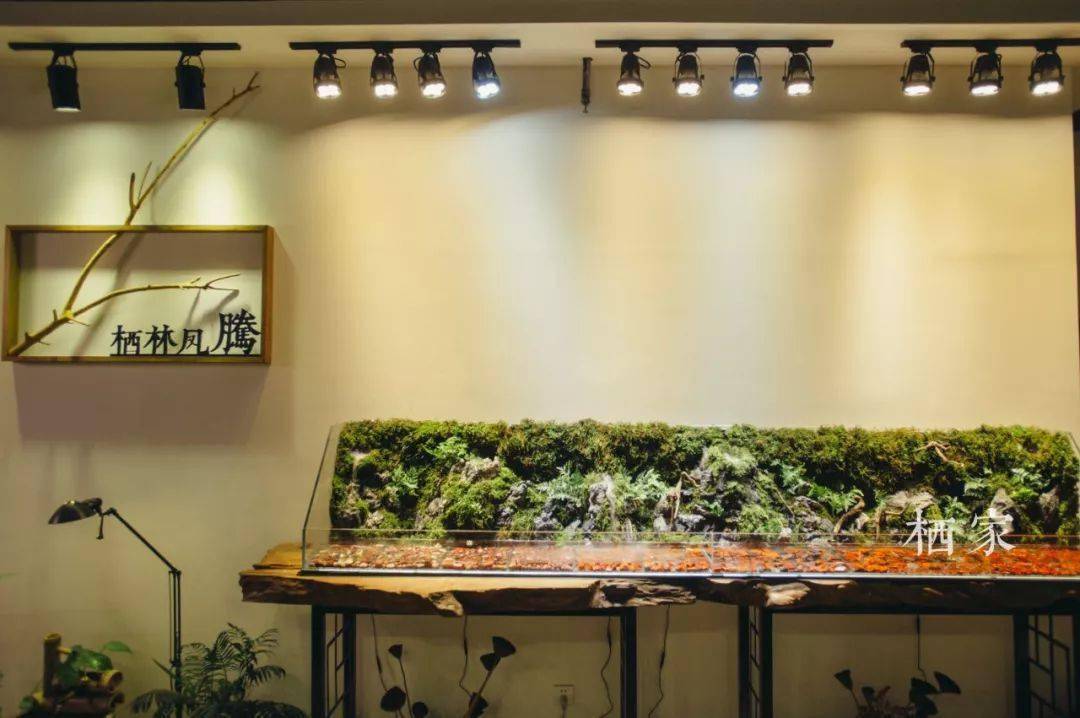 活动|南红为什么受追捧?看她朋友圈就明白了!