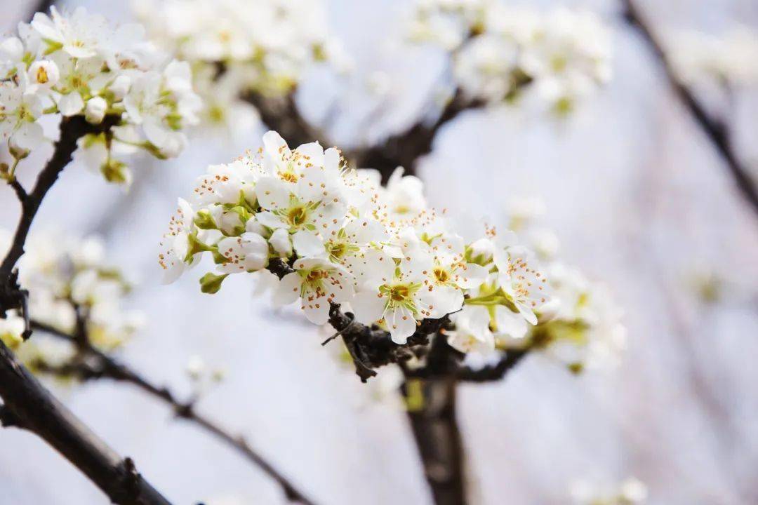 且听风吟,静待花开