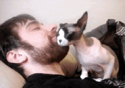 8078c2c81fda42ea95972f58be158959.gif
