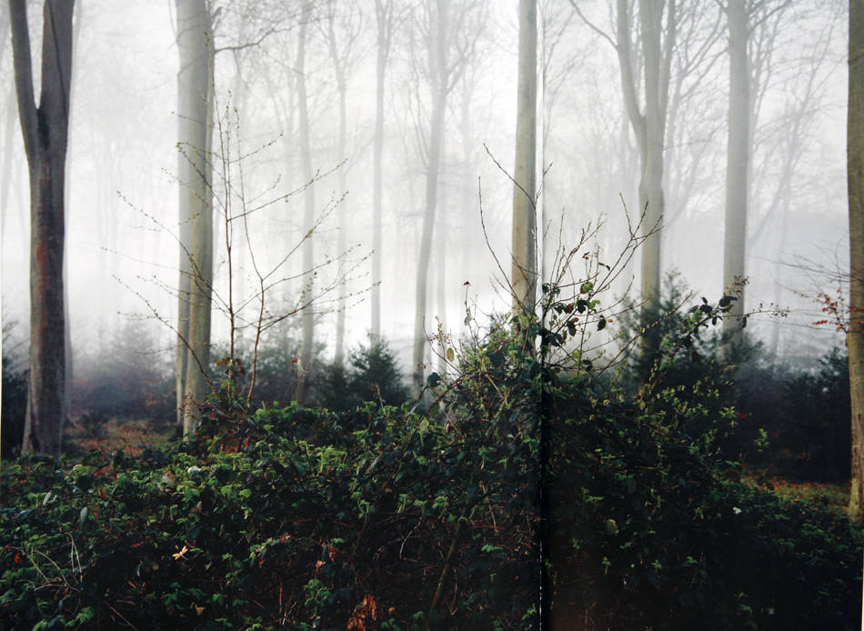 埃里克·索斯|摄影好书｜林路：两本画册看埃里克·索斯的诗意和深度