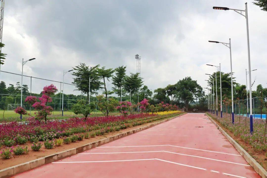 高明区各镇GDP2020年_高明区地图(2)