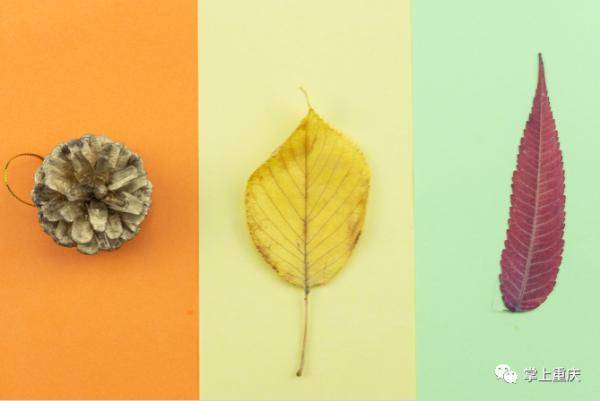 农谚|有趣的“立秋”农谚 一看就知道是智慧的结晶