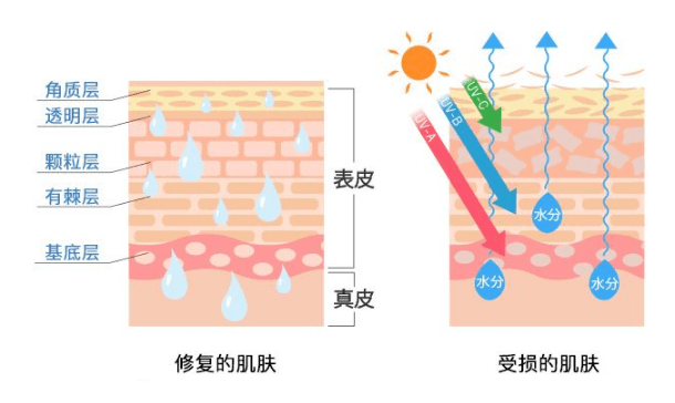 换季|吴昕、林允睡前都在用的懒人超爱保养品，一次性解决换季皮肤敏感、泛红、脱皮...
