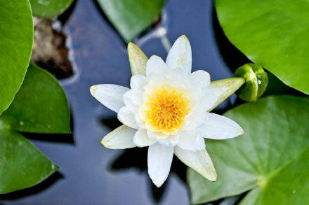 季节|镜头：今日立秋！季节换了名字，依旧风光如故！