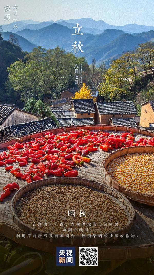 夏尽|立秋丨挥手送夏，扬手迎秋