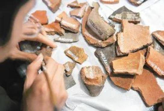 陈旭|考古系的学生毕业后都在做什么？