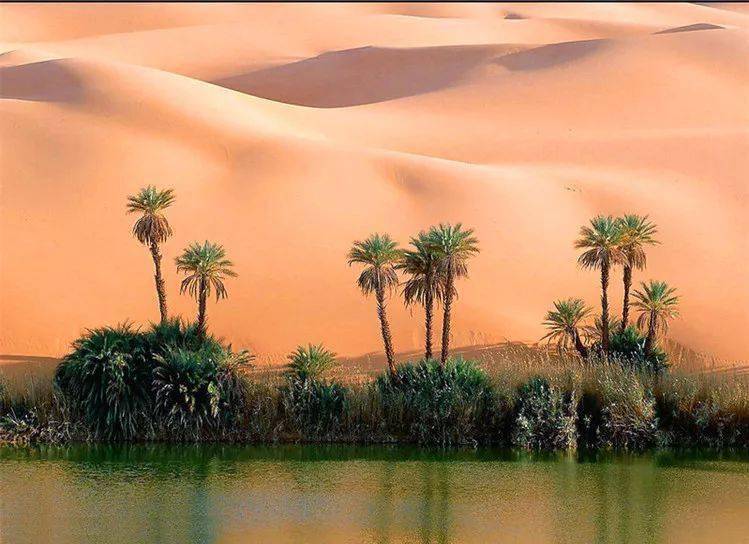 
沙特阿拉伯王国首都利雅得 -milan米兰app官网(图7)