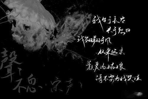 犯罪心理亲爱的姑娘请不要为宋声声哭泣