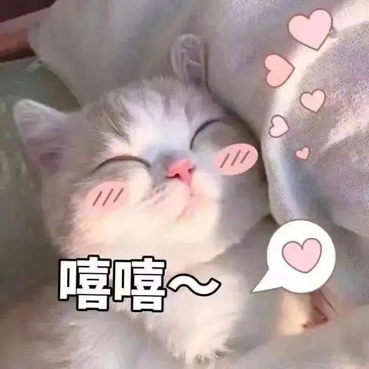 ace1d0b7098a44e880c87b7a369c5e41.jpeg
