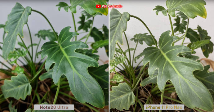 Ultra|三星Note20 Ultra对比iPhone 11Pro Max